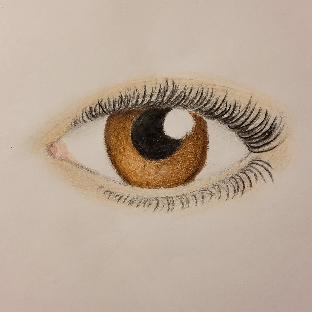 Emberi test rajzolása - Az arc és a fej részei 1. - Szem